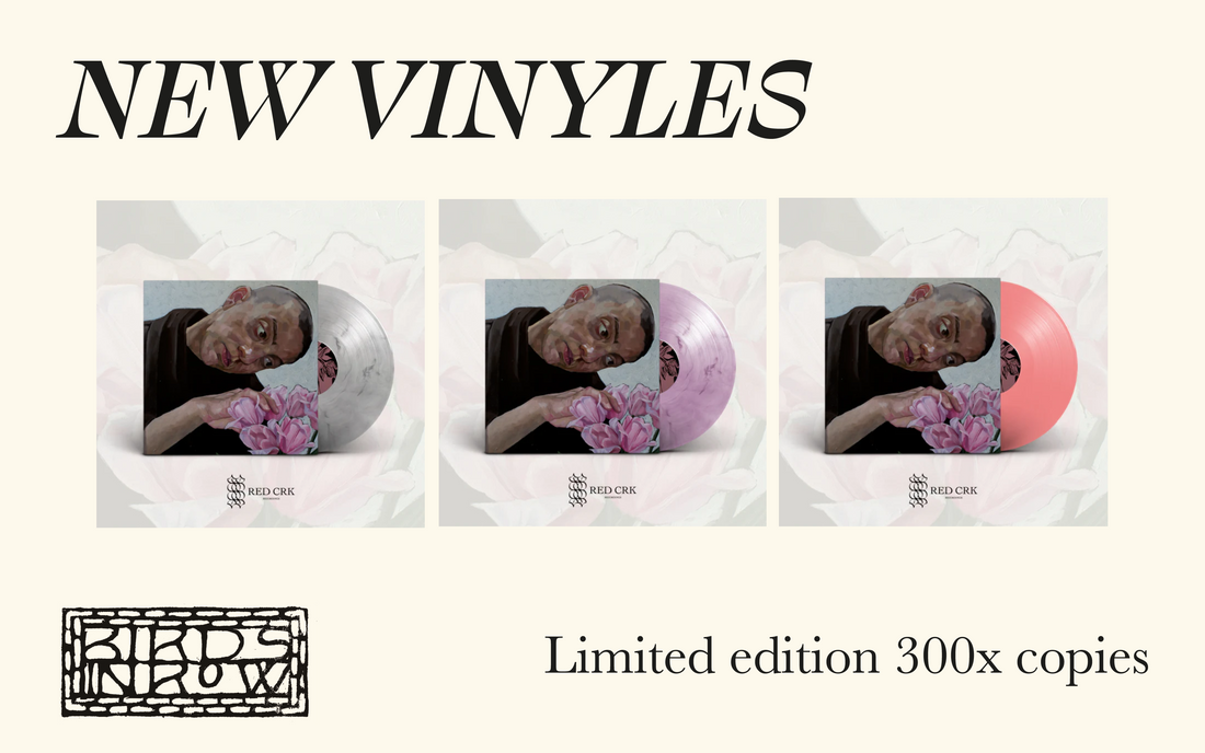 New Vinyles - Birds In Row