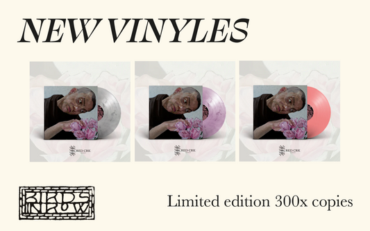 New Vinyles - Birds In Row