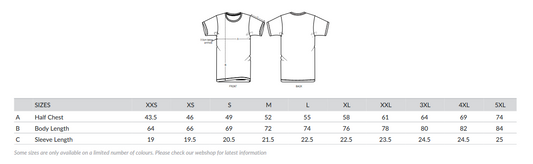 BIRDS IN ROW - Gris Klein (T-Shirt V.2)